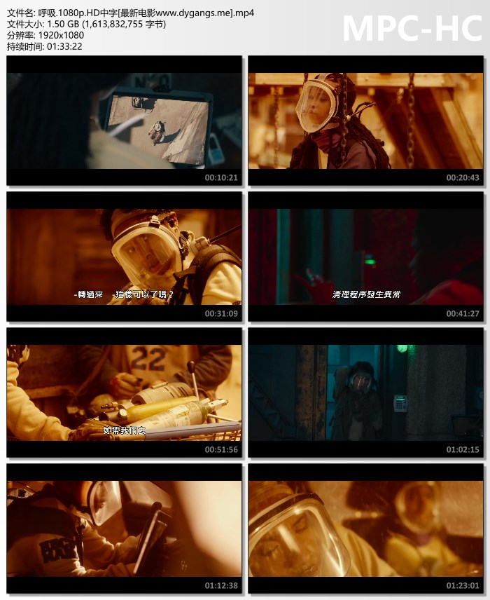 完美世界之月婵帝冲:舒适体验：在线观看需求全满足!